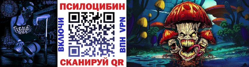 Галлюциногенные грибы Psilocybe  блэк спрут как войти  Борзя 