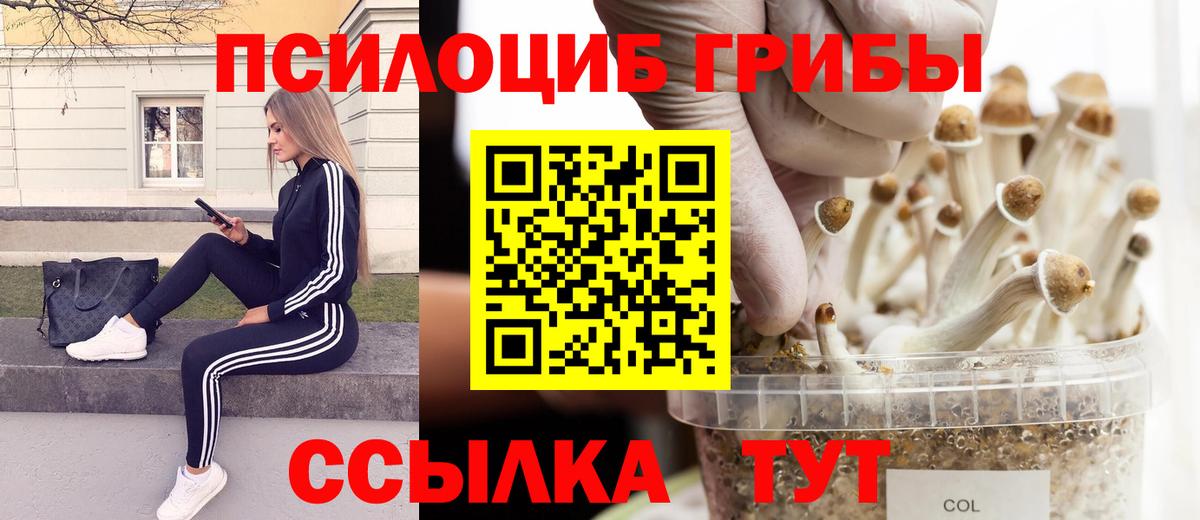 Борзя  Псилоцибиновые грибы Psilocybine cubensis  Вход с VPN  Псилоцибиновые грибы мухоморы 